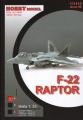 F-22 Raptor